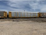 TTGX 835993